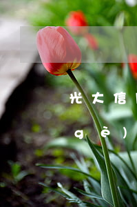 光大信用卡逾期可以申請(qǐng)個(gè)性化分期嗎-光大信用卡逾期可以申請(qǐng)個(gè)性化分期嗎