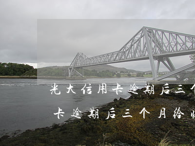 光大信用卡逾期后三个月给临额-光大信用卡逾期后三个月给临额利息
