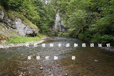 光大信用卡逾期后可以分期嗎-光大逾期一年想分期還款
