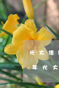 光大信用卡逾期后能取出来吗邮政(2020年光大信用卡逾期接受不了还款方式)