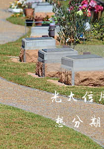 光大信用卡逾期后自動分期嗎(光大逾期一年想分期還款)