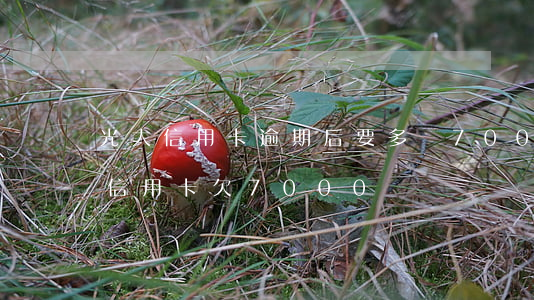 光大信用卡逾期后要多還700(我光大銀行信用卡欠7000)
