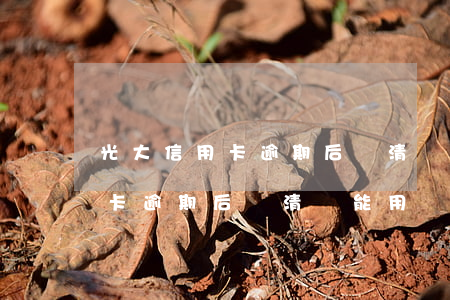 光大信用卡逾期后還清還能用嗎-光大信用卡逾期后還清還能用嗎知乎
