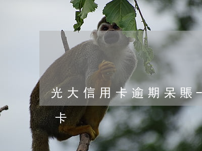 光大信用卡逾期呆賬-有呆賬批了光大信用卡