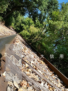 光大信用卡逾期嚴(yán)重