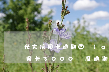 光大信用卡逾期四個(gè)月后果(光大信用卡3000額度逾期兩年多了 會(huì)怎樣)