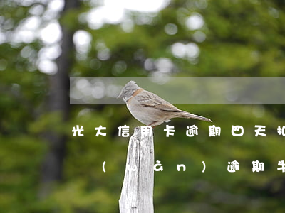光大信用卡逾期四天扣多少錢(光大信用卡4萬(wàn)逾期半年多)
