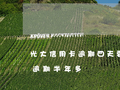光大信用卡逾期四天要紧吗(光大信用卡4万逾期半年多)