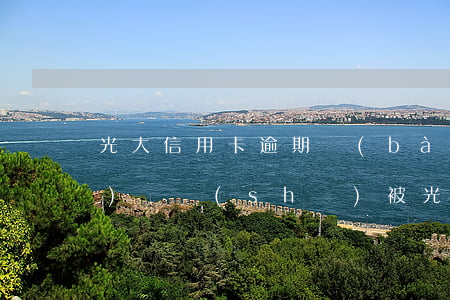 光大信用卡逾期報(bào)案協(xié)議書(shū)(被光大銀行信用卡逾期終極警告怎么辦?)