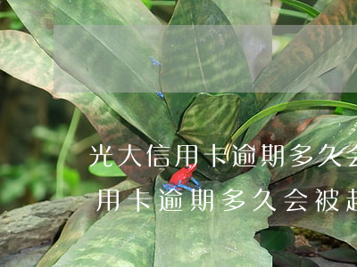 光大信用卡逾期多久会被起诉银行-光大信用卡逾期多久会被起诉银行卡冻结
