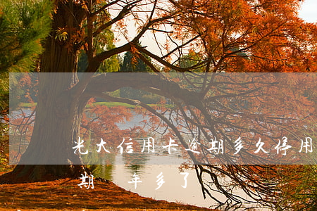 光大信用卡逾期多久停用(光大銀行信用卡逾期兩年多了)