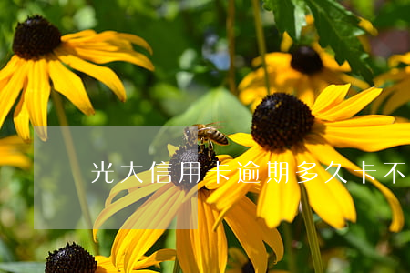 光大信用卡逾期多久卡不能用