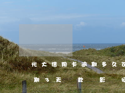 光大信用卡逾期多久可以上征信(光大銀行逾期3天還款會影響征信嗎)
