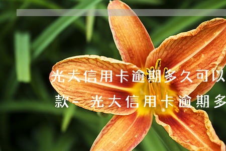 光大信用卡逾期多久可以協(xié)商還款-光大信用卡逾期多久可以協(xié)商還款啊
