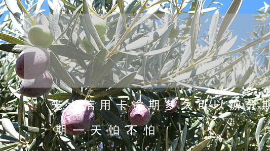 光大信用卡逾期多久可以辦分期(光大分期逾期一天怕不怕)