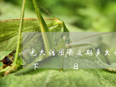 光大信用卡逾期多久寄賬單(光大銀行逾期到下個賬單日)