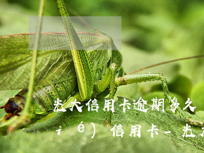 光大信用卡逾期多久會(huì)凍結(jié)信用卡-光大信用卡逾期多久會(huì)凍結(jié)信用卡賬戶