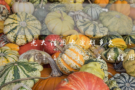 光大信用卡逾期多久會(huì)打電話來(lái)-光大信用卡逾期多久會(huì)打電話來(lái)催收