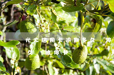 光大信用卡逾期多久會停止利息(光大逾期多久會被?？?