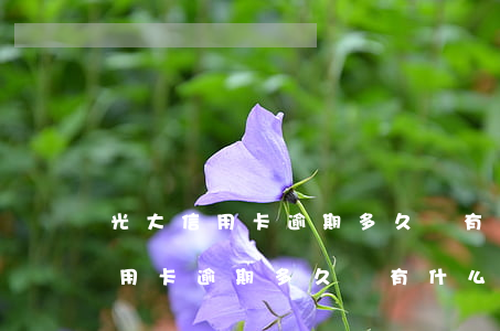 光大信用卡逾期多久會有什么后果-光大信用卡逾期多久會有什么后果呢