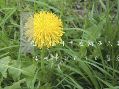 光大信用卡逾期多久算嚴(yán)重(光大信用卡3000額度逾期兩年多了 會(huì)怎樣)