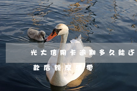 光大信用卡逾期多久能还全款 光大卡逾期还款后额度清零