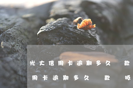 光大信用卡逾期多久還款沖抵本金-光大信用卡逾期多久還款沖抵本金啊