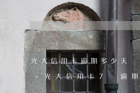 光大信用卡逾期多少天會(huì)被起訴-光大信用卡7萬逾期