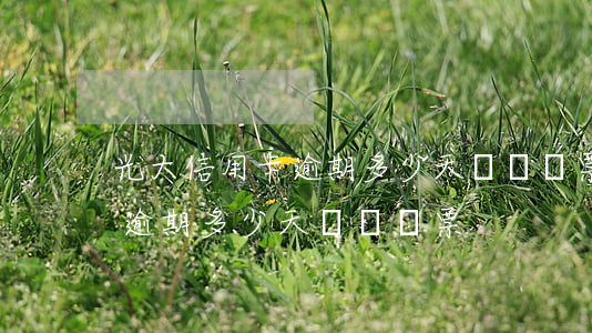 光大信用卡逾期多少天會給傳票(光大信用卡逾期多少天會給傳票)
