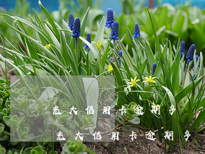 光大信用卡逾期多長時(shí)間沒事-光大信用卡逾期多長時(shí)間沒事兒了