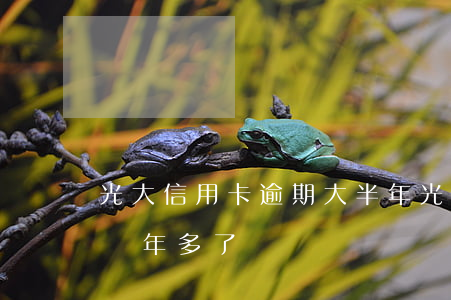 光大信用卡逾期大半年(光大銀行信用卡逾期兩年多了)