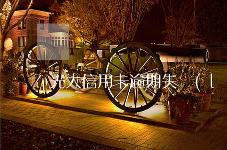 光大信用卡逾期失聯(lián)(光大 逾期)