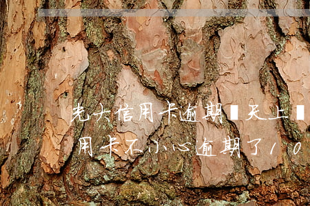 光大信用卡逾期幾天上門(mén)(光大信用卡不小心逾期了10幾天怎么辦)