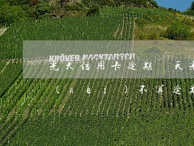 光大信用卡 逾期幾天(光大信用卡逾期幾天內(nèi)不算逾期利息)