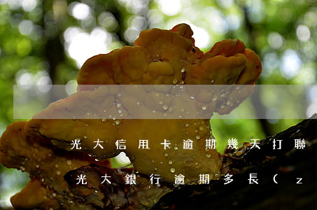 光大信用卡逾期幾天打聯(lián)系人(光大銀行逾期多長(zhǎng)時(shí)間會(huì)打聯(lián)系人電話)
