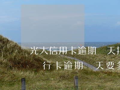 光大信用卡逾期幾天扣手續(xù)費 光大銀行卡逾期兩天要多少錢