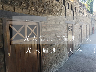 光大信用卡逾期幾天會(huì)上征信嗎(光大逾期幾天不會(huì)上征信)