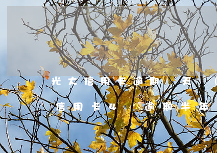 光大信用卡逾期幾天會(huì)怎樣(光大信用卡4萬逾期半年多)