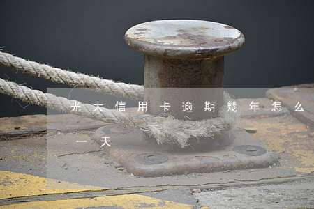 光大信用卡逾期幾年怎么還(光大信用卡 逾期一天)