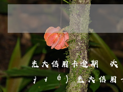 光大信用卡逾期幾次會(huì)被凍結(jié)(光大信用卡逾期幾次會(huì)被凍結(jié))