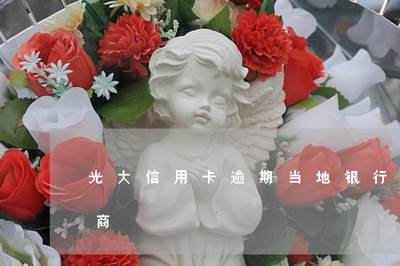 光大信用卡逾期当地银行协商(光大银行不协商)