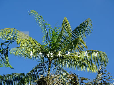 光大信用卡逾期律師說(shuō)要起訴