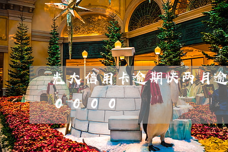 光大信用卡逾期快两月(逾期欠光大信用卡80000)