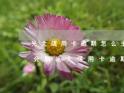 光大信用卡逾期怎么主動(dòng)申請分期(光大信用卡逾期怎么主動(dòng)申請分期付款)