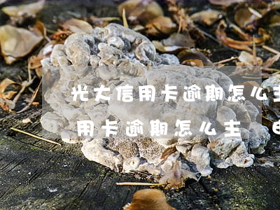 光大信用卡逾期怎么主動申請分期-光大信用卡逾期怎么主動申請分期還款