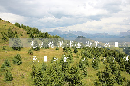 光大信用卡逾期怎么協(xié)商利息全免還本金-2021年光大信用卡逾期新政策