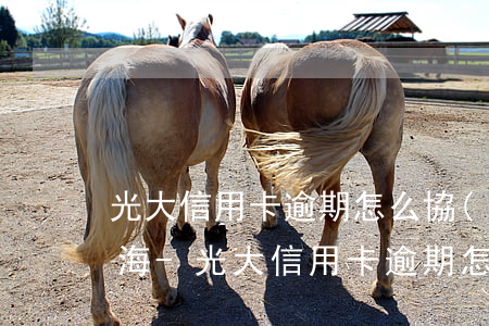 光大信用卡逾期怎么協(xié)商消除上海-光大信用卡逾期怎么協(xié)商消除上海銀行