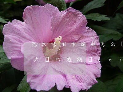 光大信用卡逾期怎么協(xié)商消除(光大銀行逾期協(xié)商還款方式協(xié)商多少)