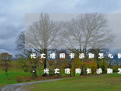 光大信用卡逾期怎么和銀行協(xié)商-光大信用卡逾期怎么和銀行協(xié)商分期