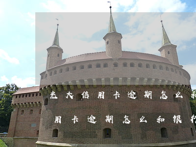光大信用卡逾期怎么和银行协商还-光大信用卡逾期怎么和银行协商还本金